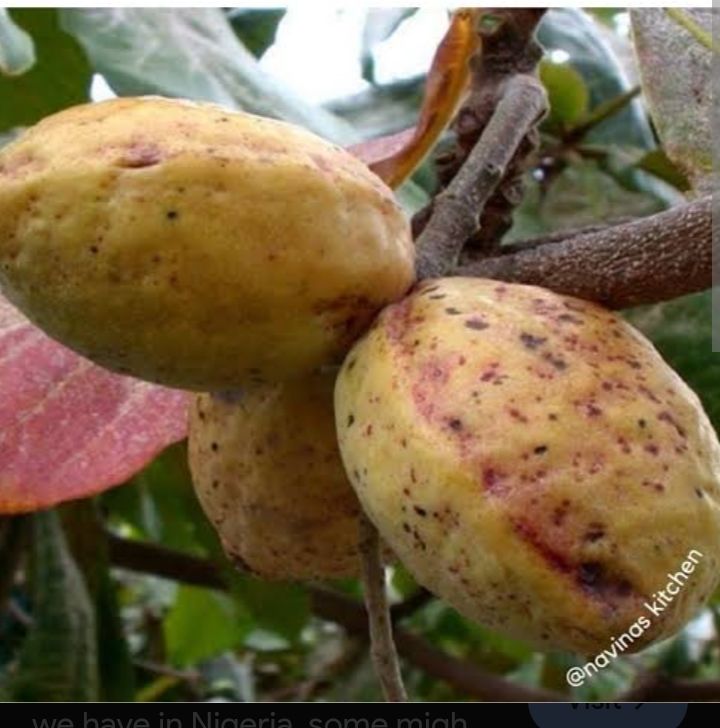 Ricelady2016 tweet media