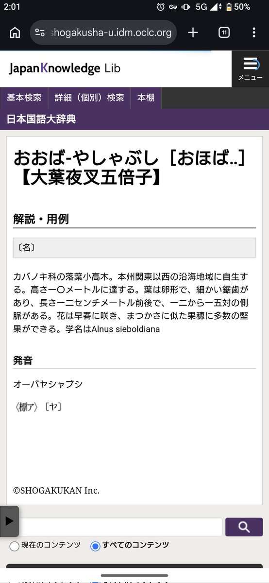 なや/蔚藍天 tweet media