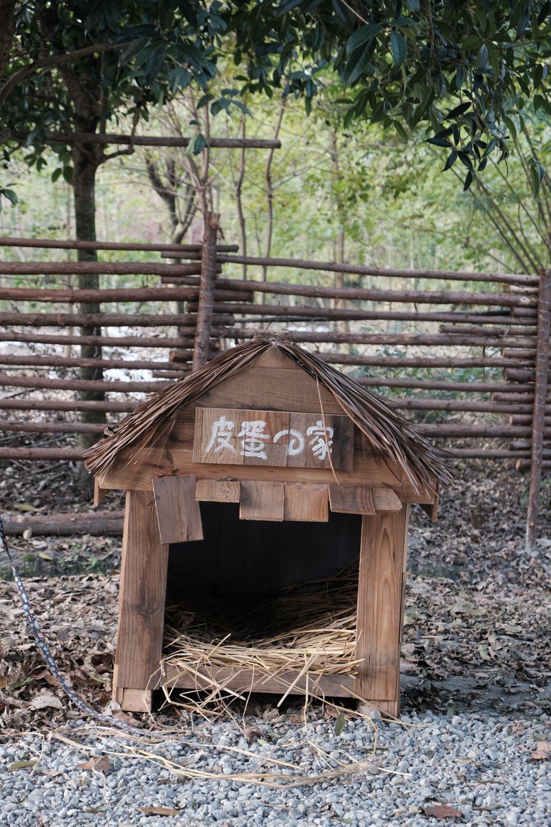 Stephanie Rojas tweet media