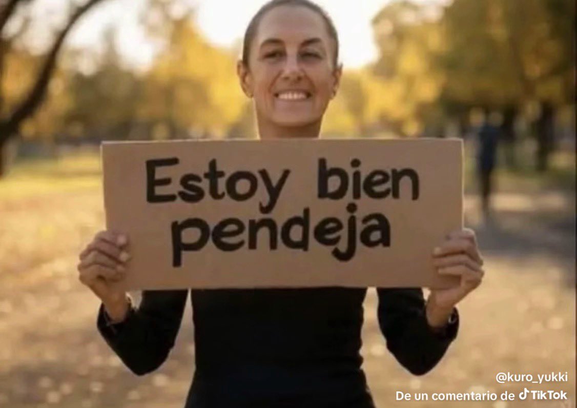Manuel T tweet media
