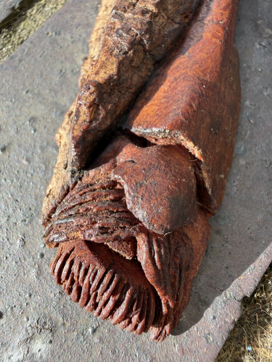 ☠️Daddy Bones☠️ tweet media