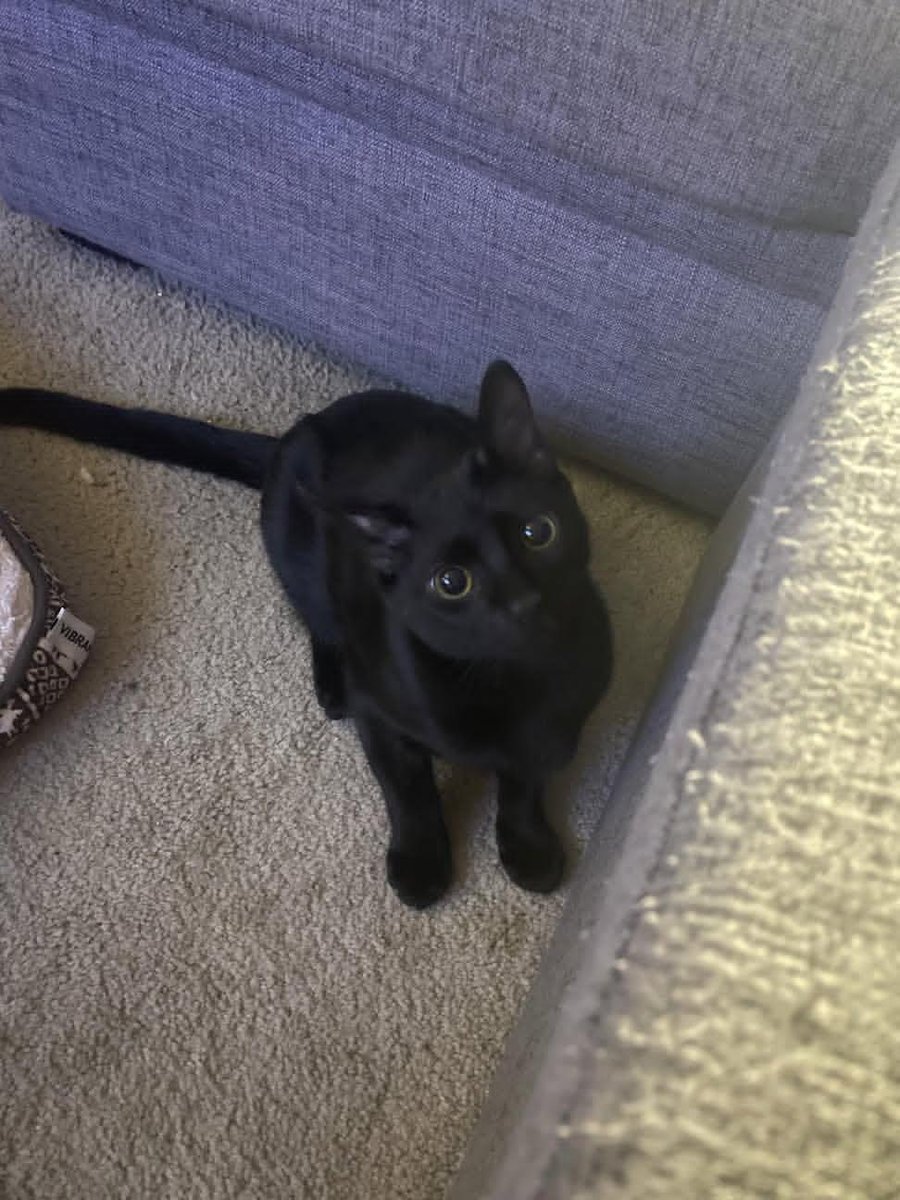 Sara Mary ⭐❤️ tweet media