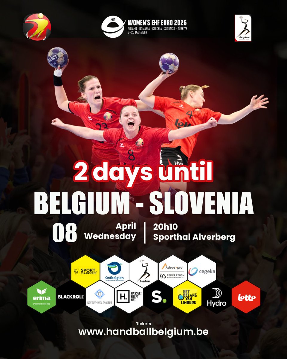 Belgian Handball tweet media