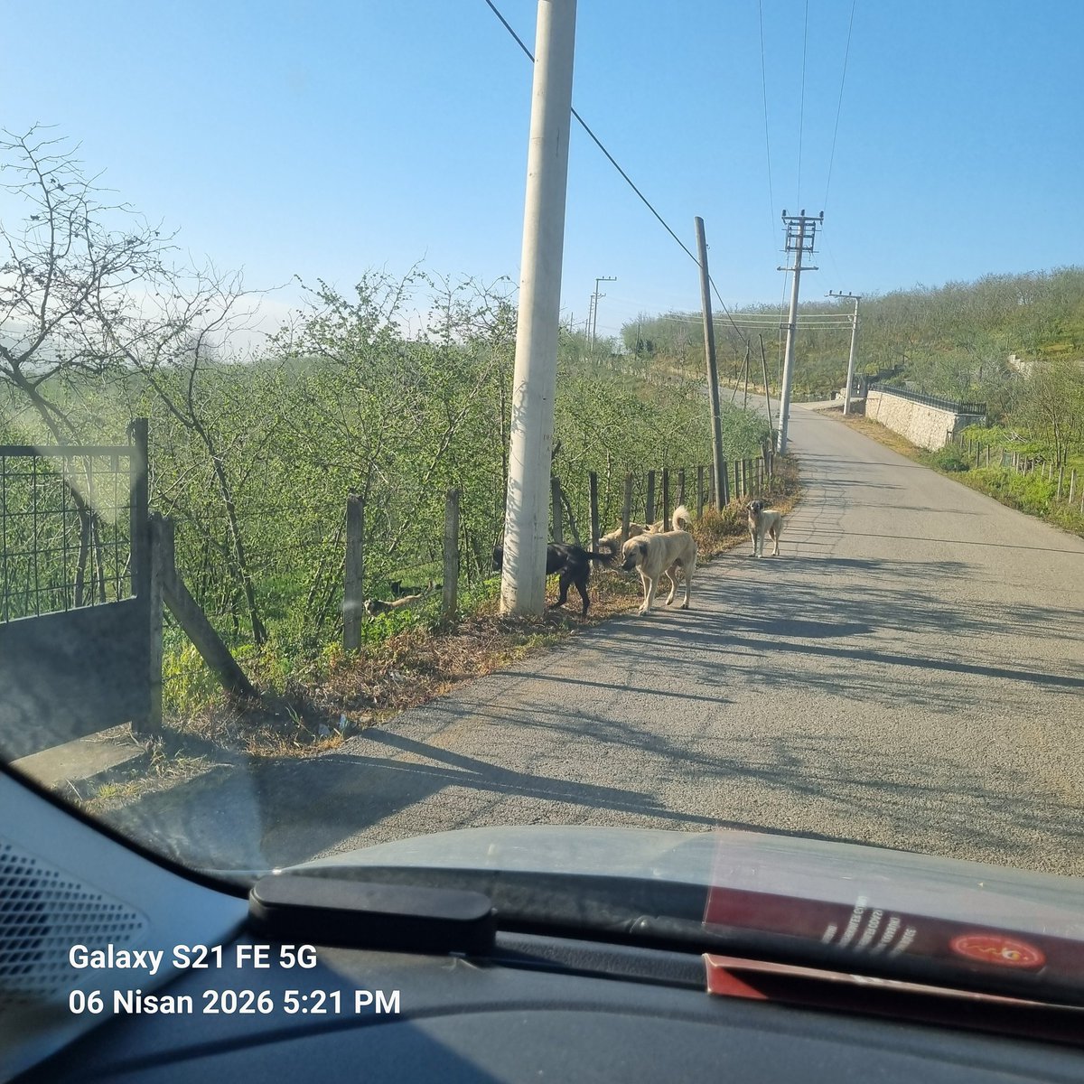 Ahmet Fikri Kızmaz tweet media