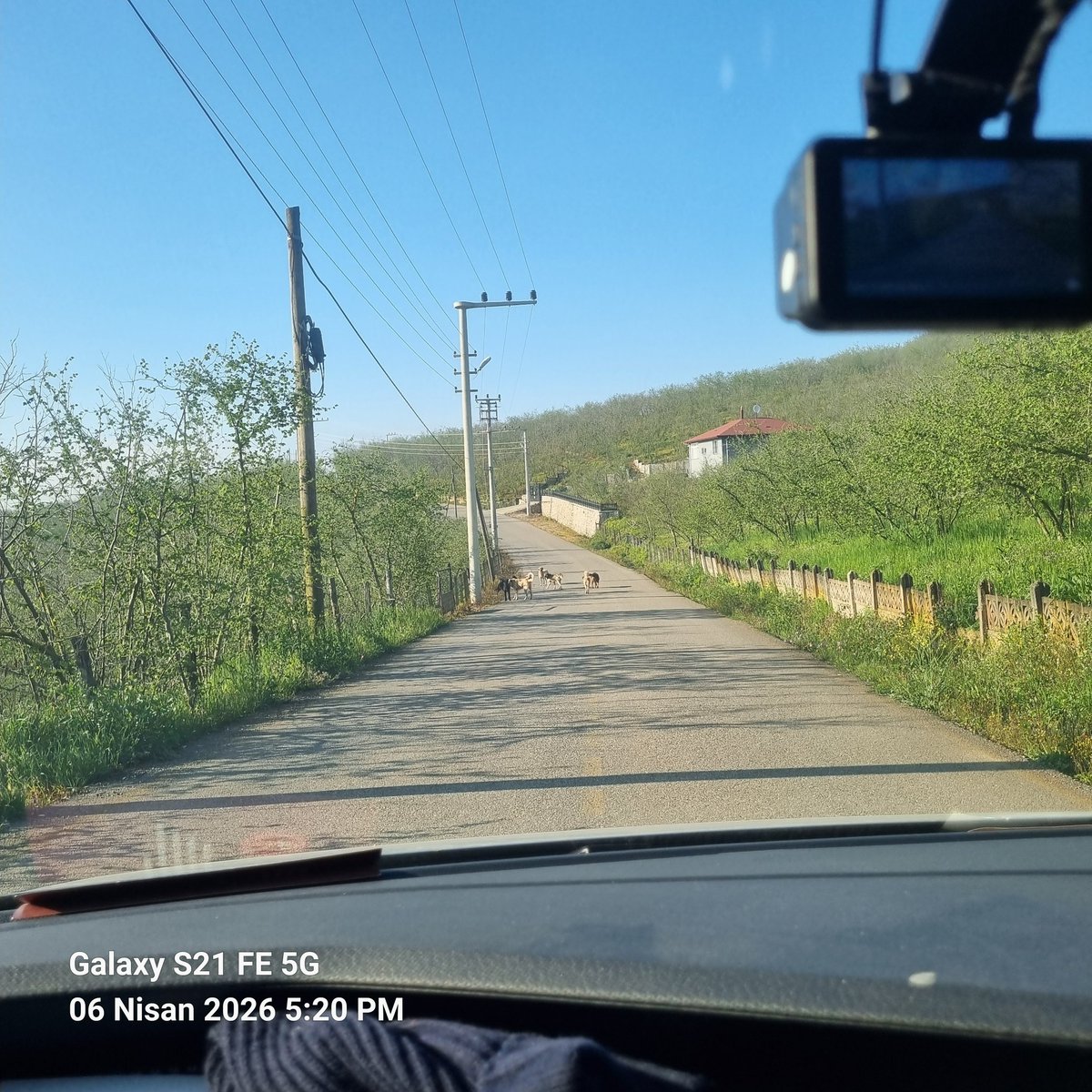 Ahmet Fikri Kızmaz tweet media