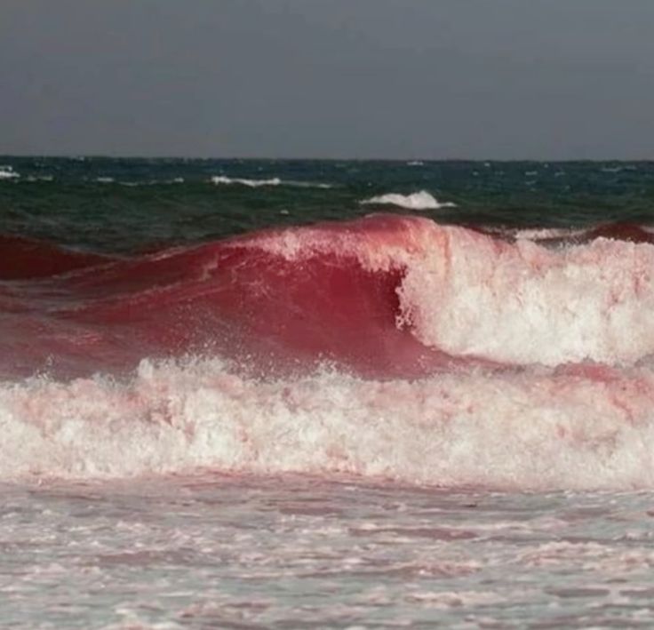 rmrtaha 2nd acc tweet media