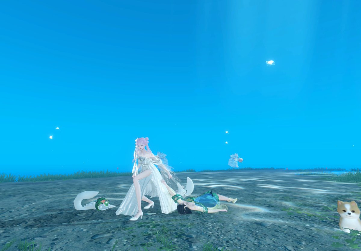 Meto@逆水寒 tweet media