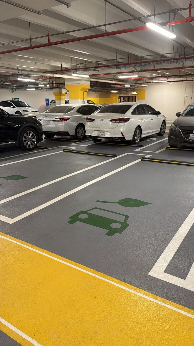 تالا خالد tweet media