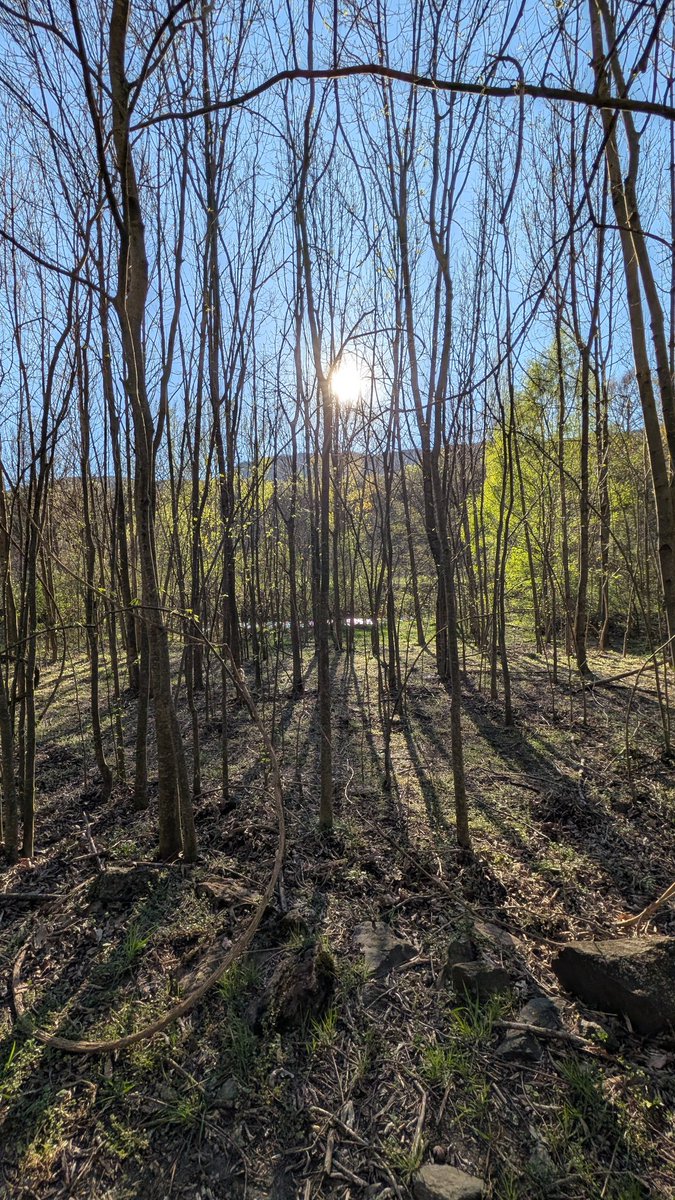 Rosendo Manrique tweet media