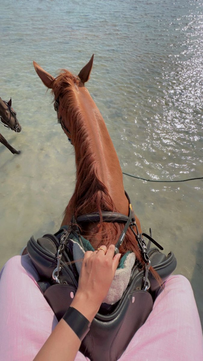 Alhanouf tweet media