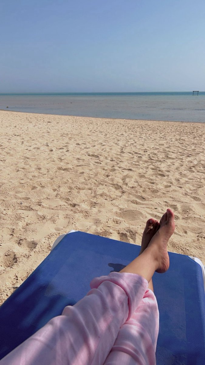 Alhanouf tweet media