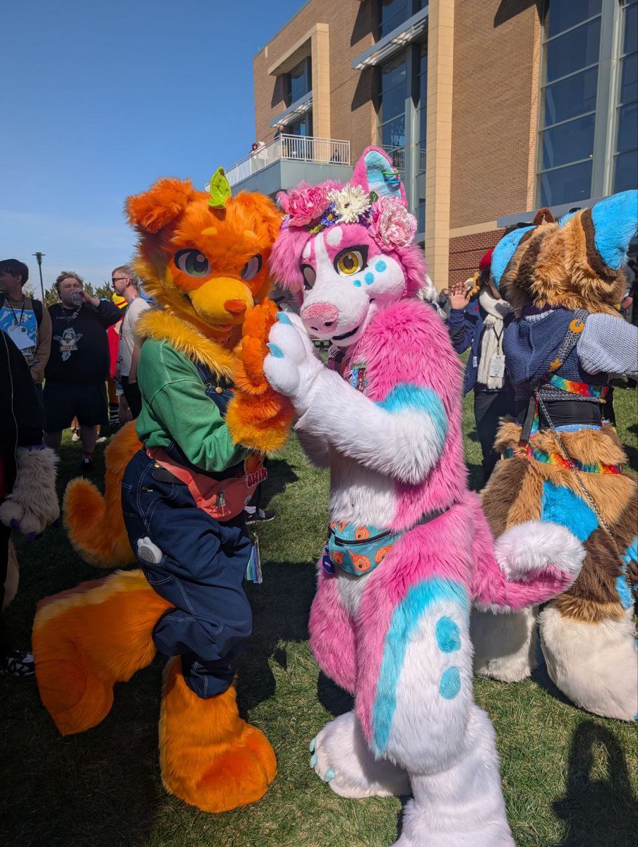 Fountain City Furs tweet media