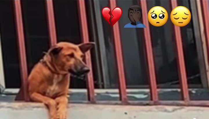 Business Girl tweet media