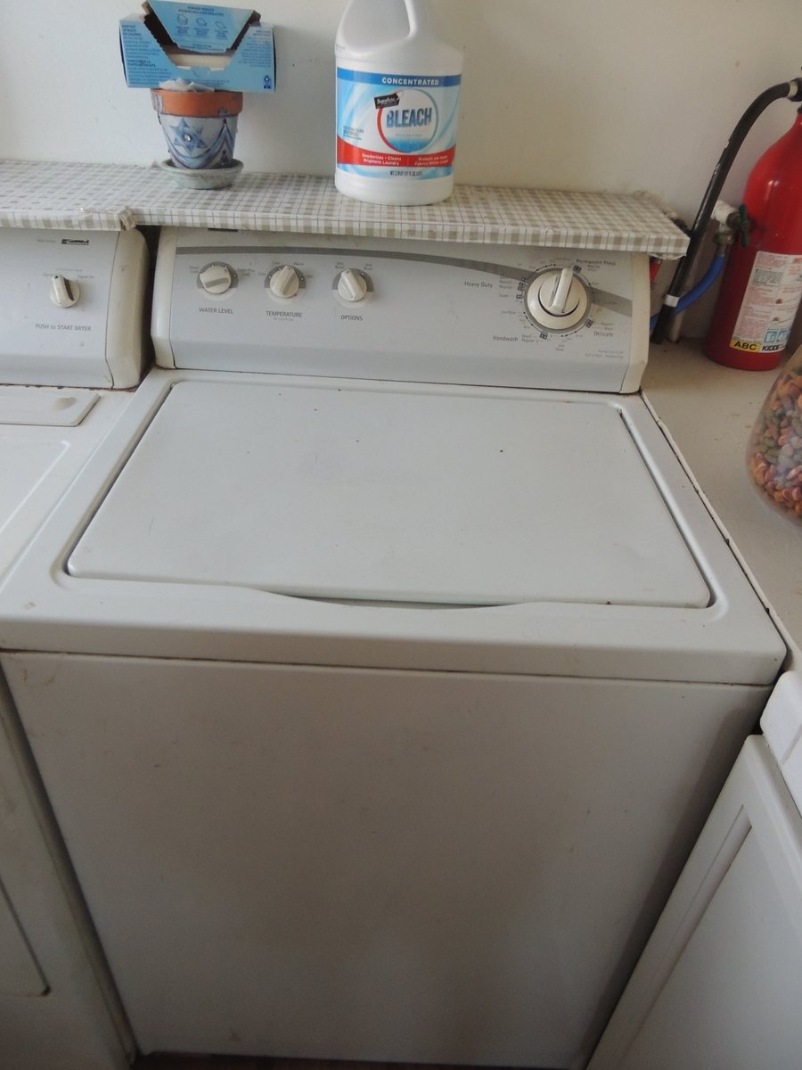 scubadogs tweet media