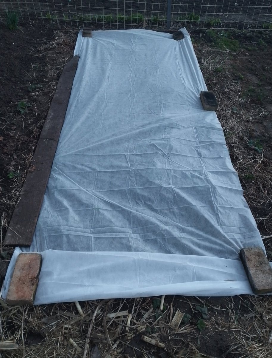 Розбита Бородянка tweet media