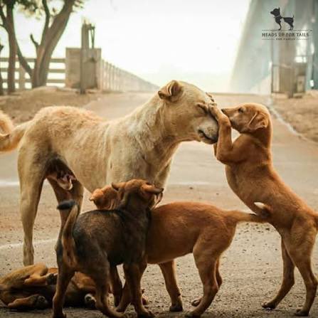 Raj Nayak tweet media