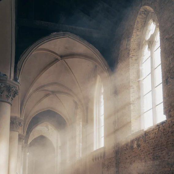 Tim Giovanetto tweet media