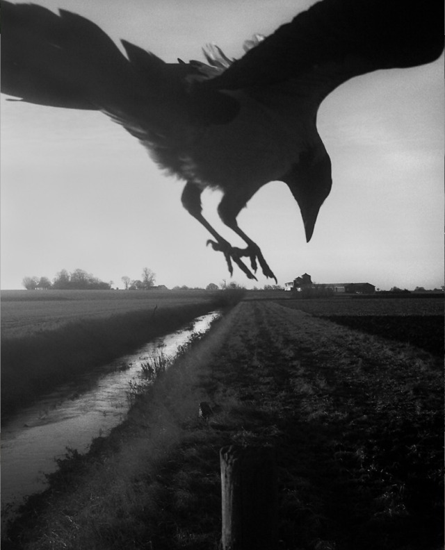 u t k u tun tweet media