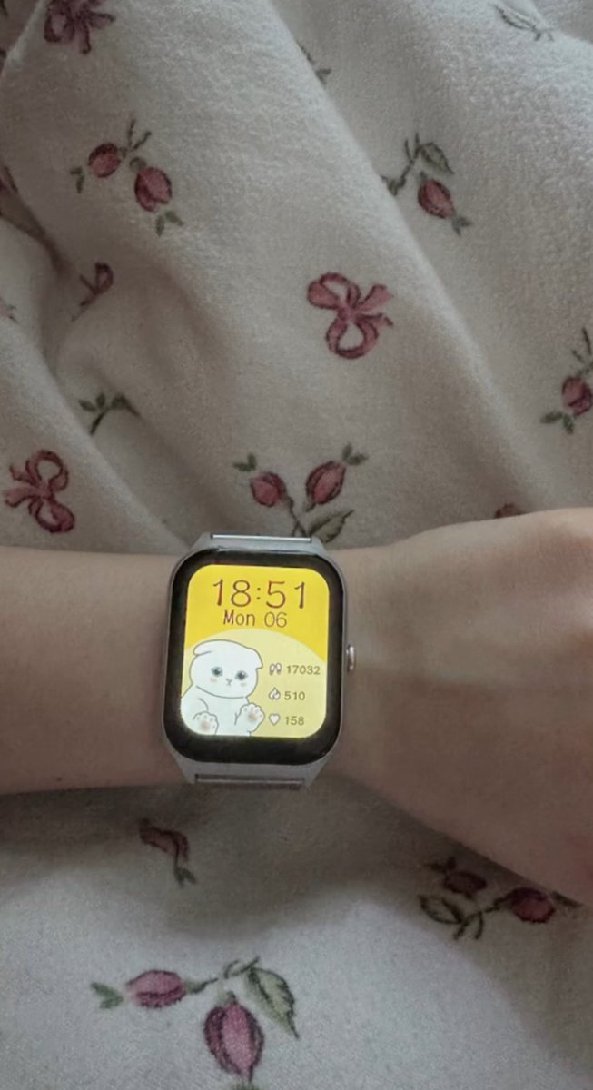 KITTY /ᐠ - ˕ -マ tweet media