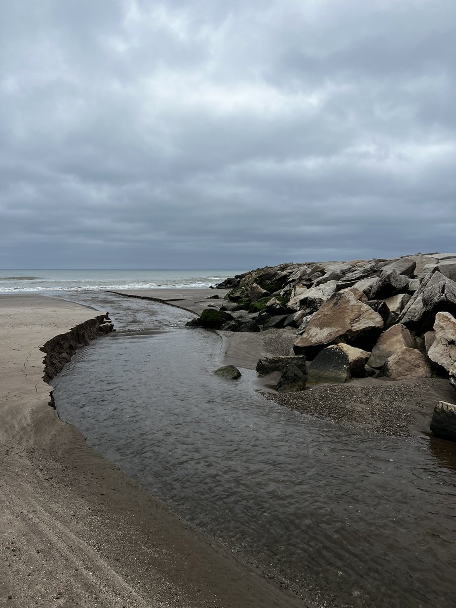 bianca 🫧 tweet media