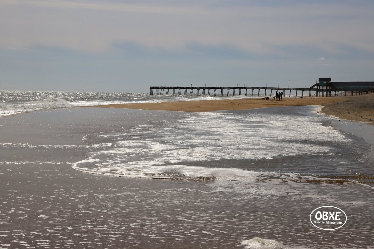 OBX Entertainment tweet media