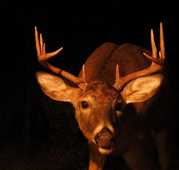 toby ☆ edtwt tweet media