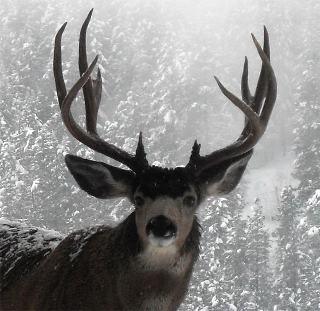 toby ☆ edtwt tweet media