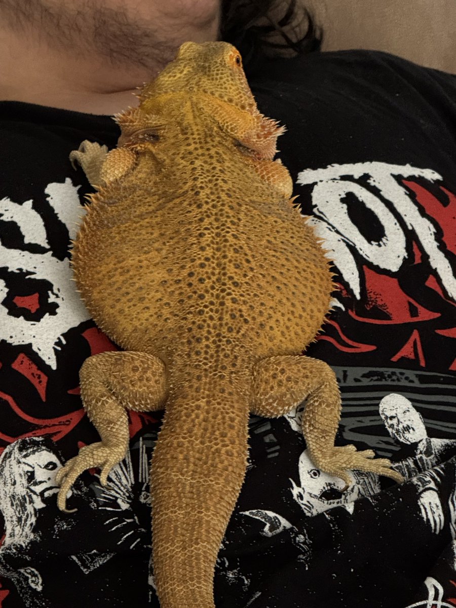 Astro-Grouch 🇻🇪🇺🇸🇺🇦🚀 tweet media