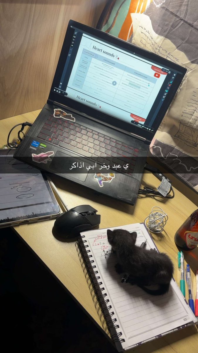 كوراسون 🥐 tweet media