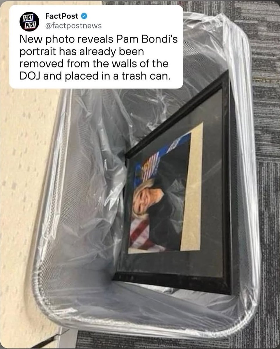 Comrade Dedo tweet media