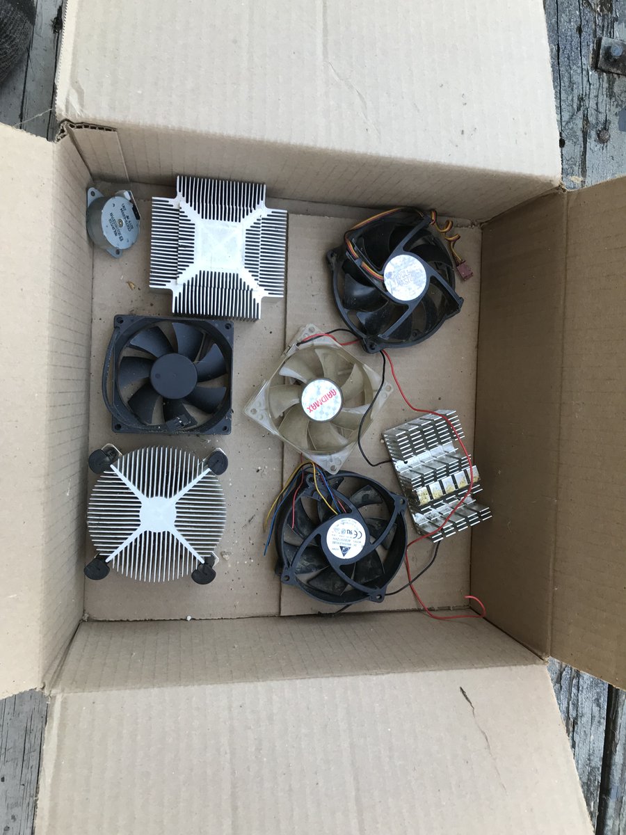 Lucy Dynamite tweet media