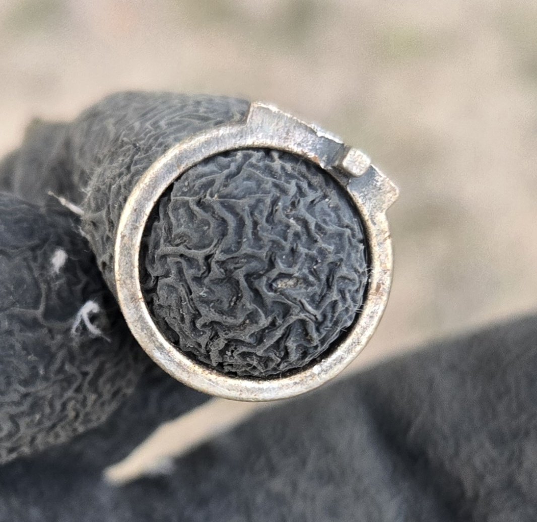 Whiskeytangofoxtrot tweet media