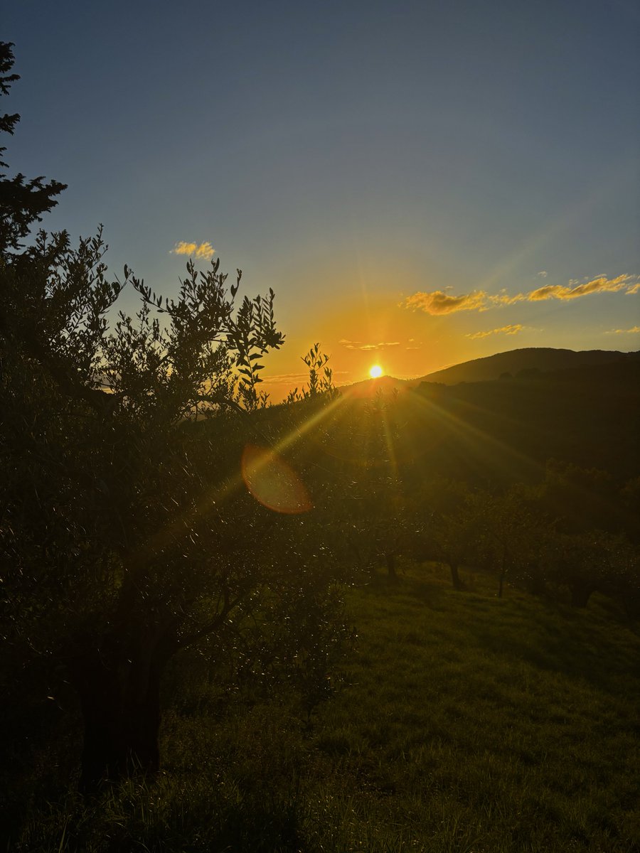 Wiktoria tweet media