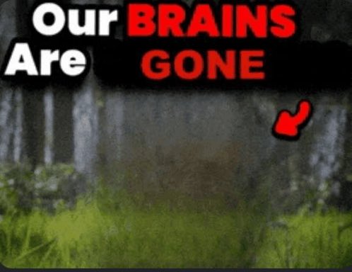 Nacho Boy tweet media