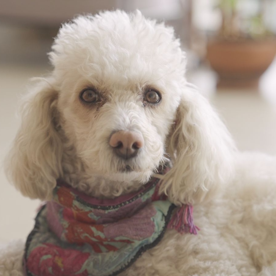 Marisol Cid tweet media