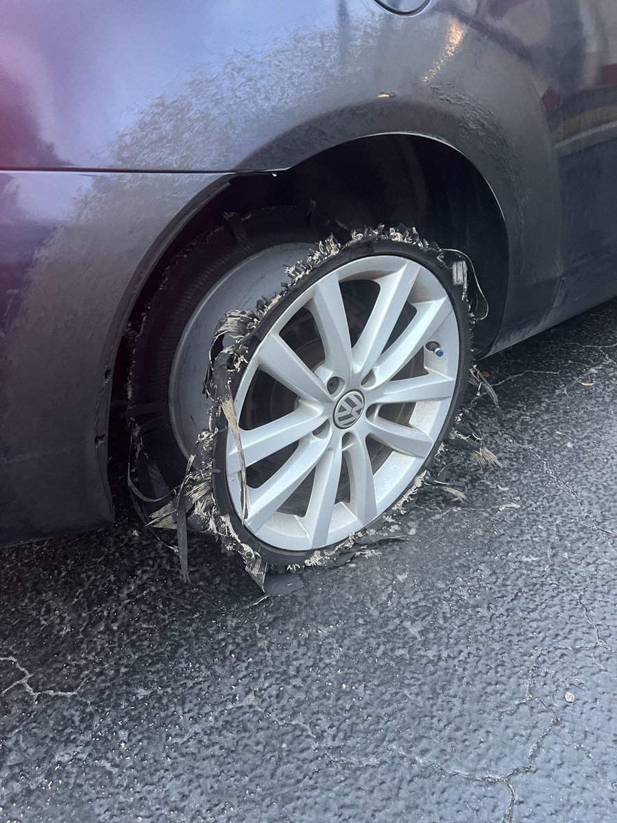 Sylvia Miami tweet media