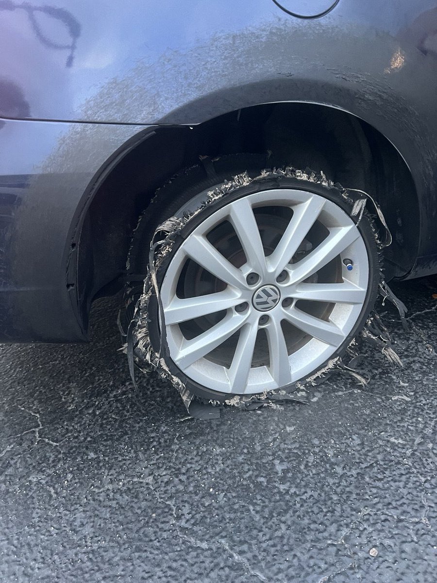 Sylvia Miami tweet media