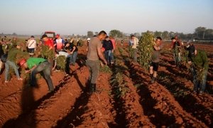 Tecnología Educativa Conectividad Baracoa tweet media