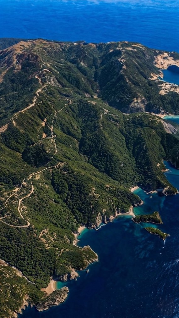 Gökçe Katun tweet media