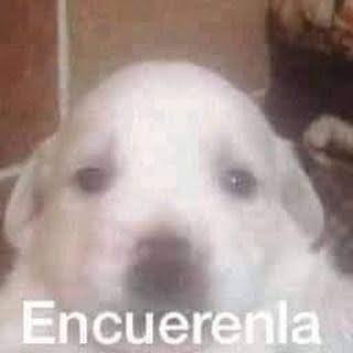 HimariVT 🌻🌱 tweet media