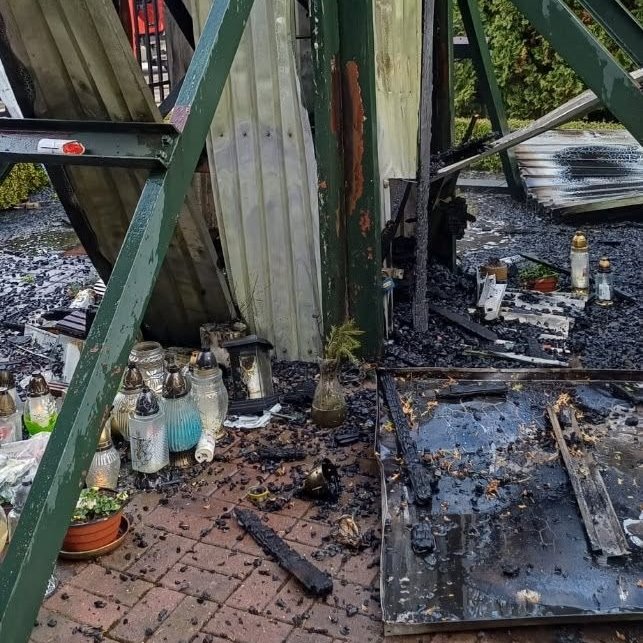 coolfonpl 🇵🇱 tweet media