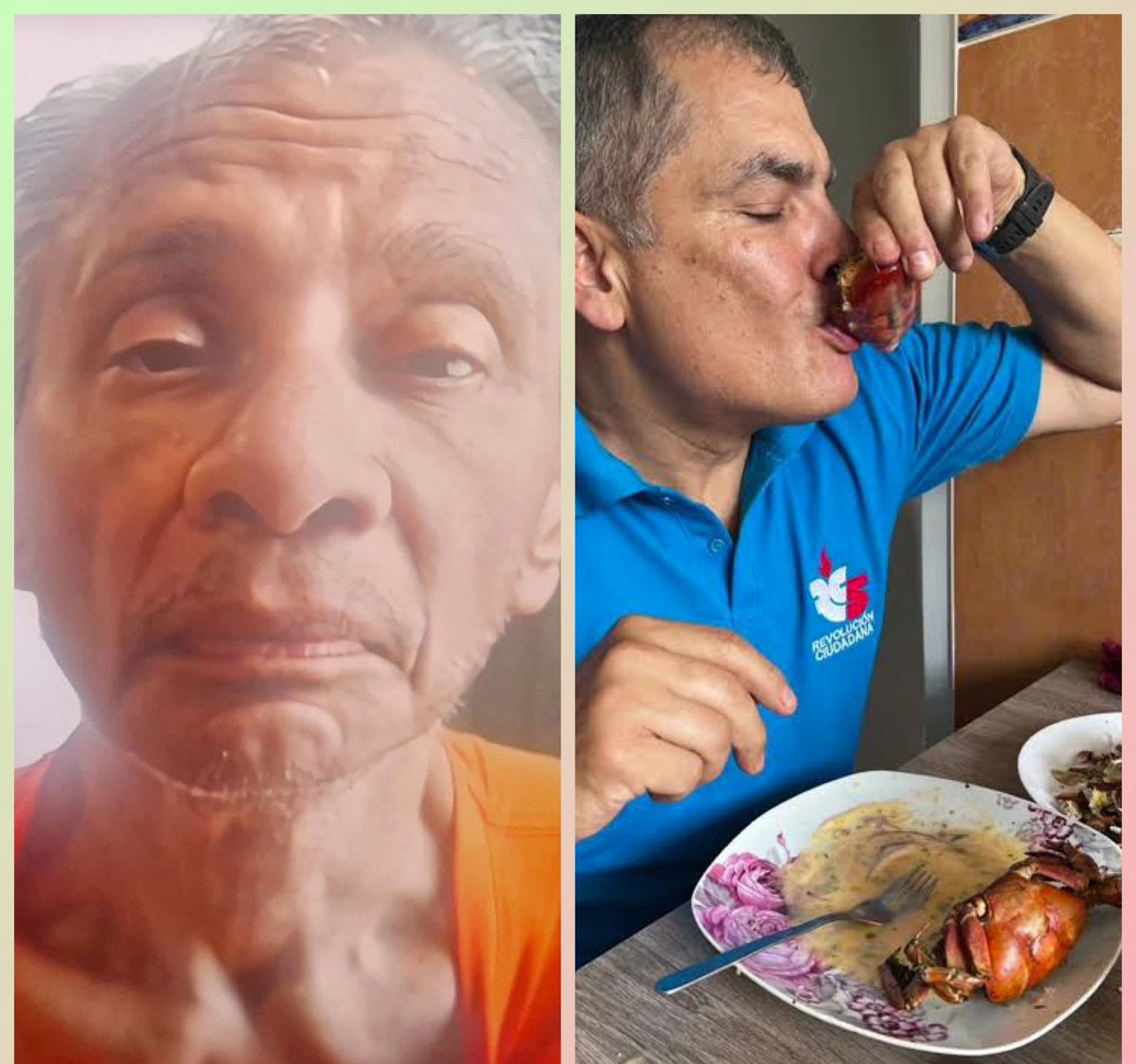 El Chulla Quiteño tweet media