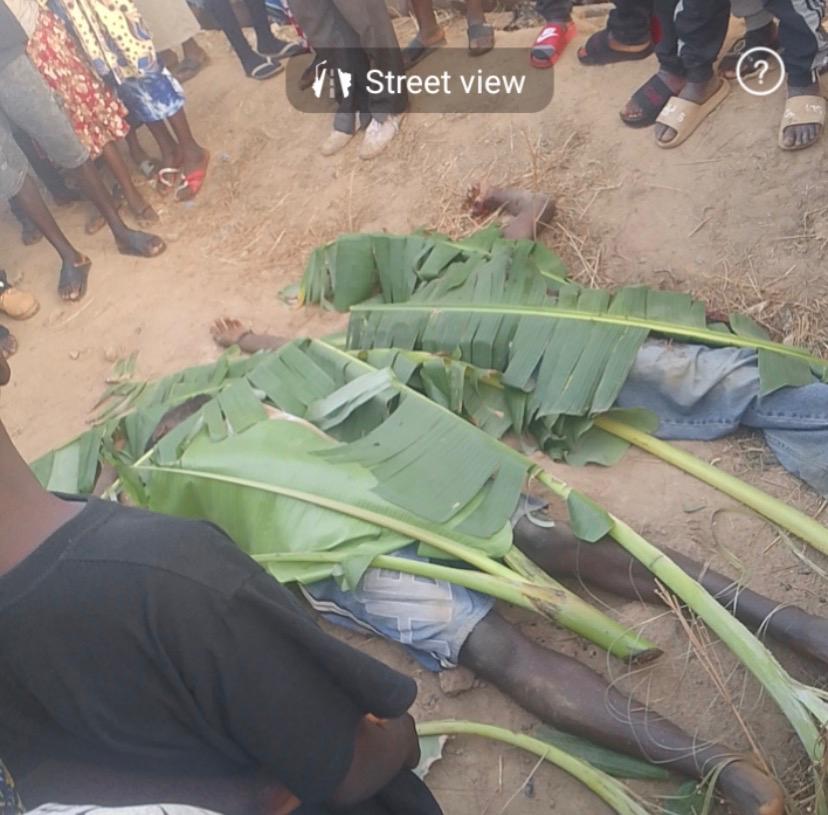 BUGG🐞 tweet media