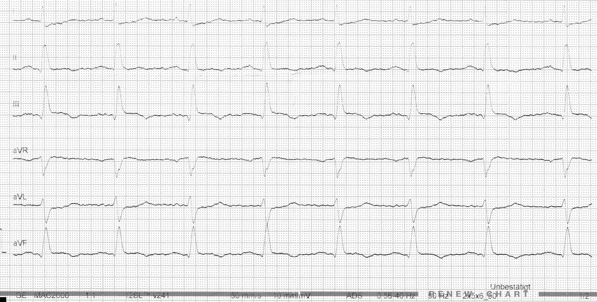 Dr. Andreas Roeschl tweet media