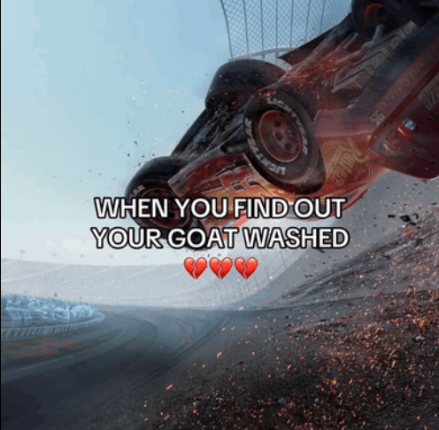 Jeremy Pacheco tweet media