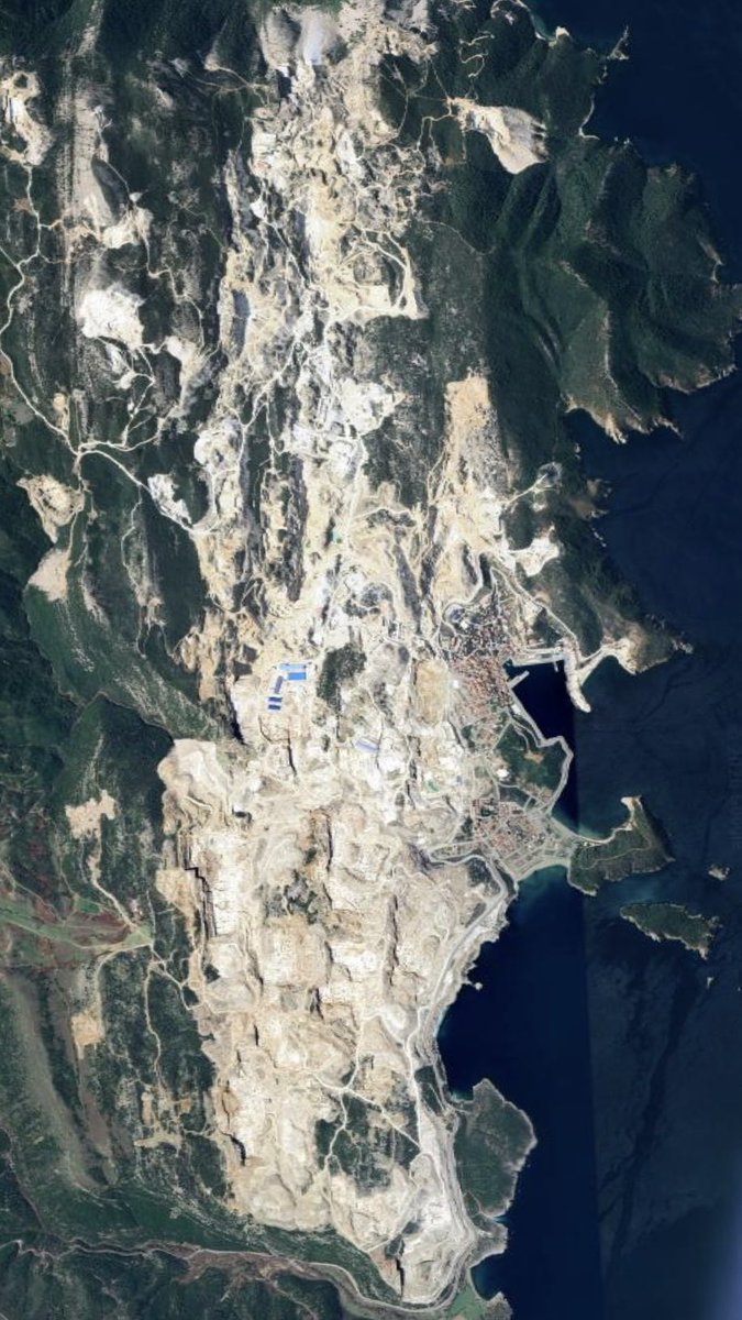 Tommy Vercettioğlu tweet media