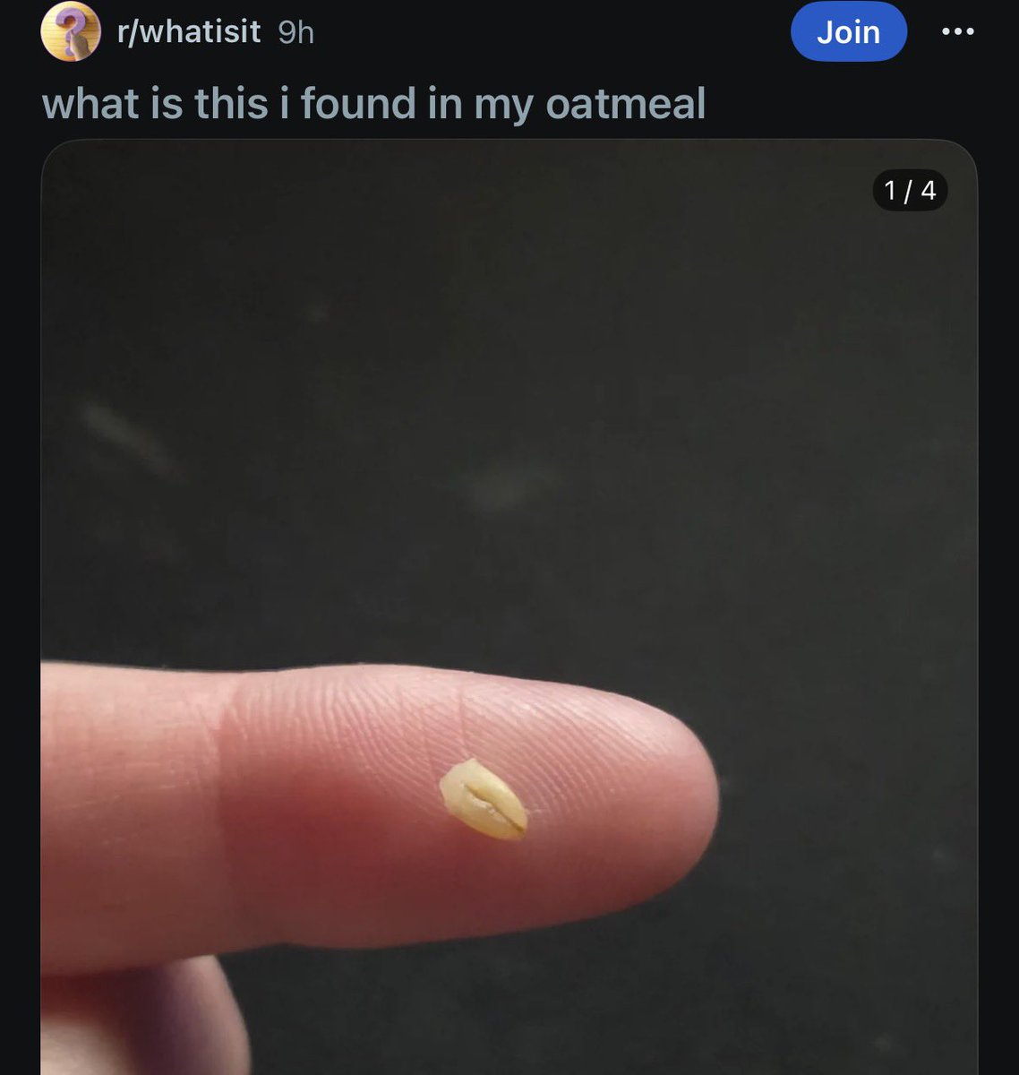 Hazel Appleyard tweet media