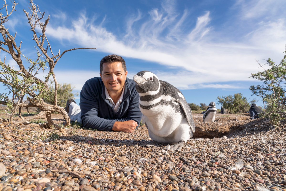 Zoo Boise tweet media