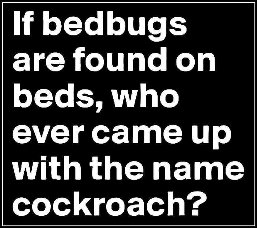 ☯️TheBassPlayer❤️‍🔥 tweet media