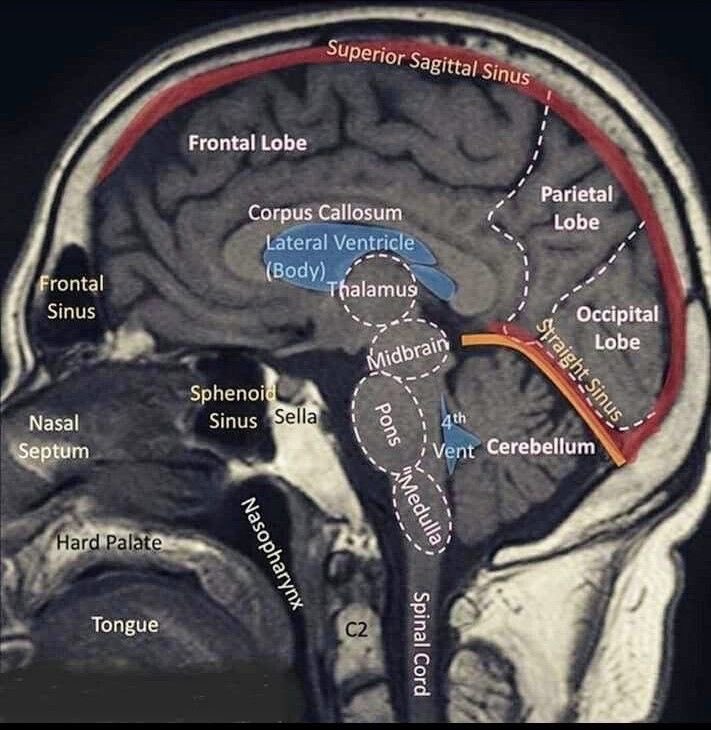Deep Psychology tweet media